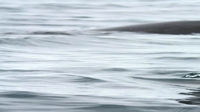 Province De Chubut смотреть онлайн