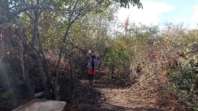 #20 МЫ купили ЗАБРОШЕННУЮ ДАЧУ / Альпийская горка /Уборка / Сломалась машина смотреть онлайн