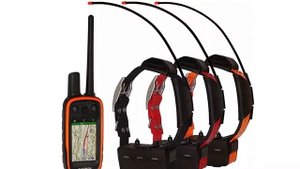 gps ошейник для охотничьих собак купить алиэкспресс