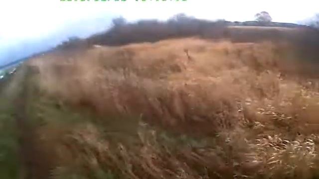 Теория моего опыта ходовой охоты на зайца смотреть онлайн