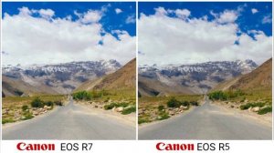 Canon EOS R7 vs Canon EOS R5 Camera Test