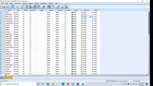 SPSS: Add excel file and calculate descriptive statistics