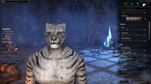 Elder Scrolls Online Khajiit Character Creation (ESO Khajiit Customization)