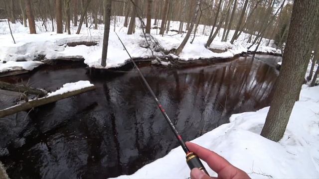 Мормодроч. Река Приветная. Рыбалка 04.04.22.