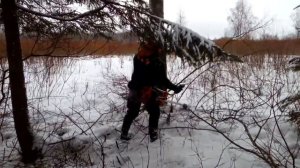 Работа с триммером(бензокосой) Stihl FS 460 C. Work with trimmer Stihl FS 460 C.