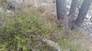 Продажа участка ИЖС.Понизовка.+79790199100.Крым