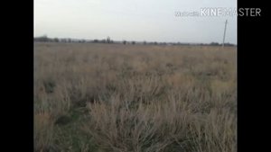 Коп в Казахстане в заброшенных аулах. В поисках монет , осень 2017 года