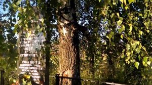 Памятник Евреев