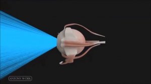 Бионический глаз превосходит человеческий