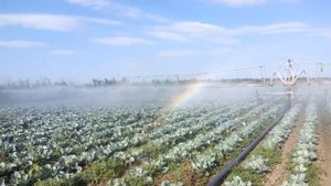 полив катушкой с консолью