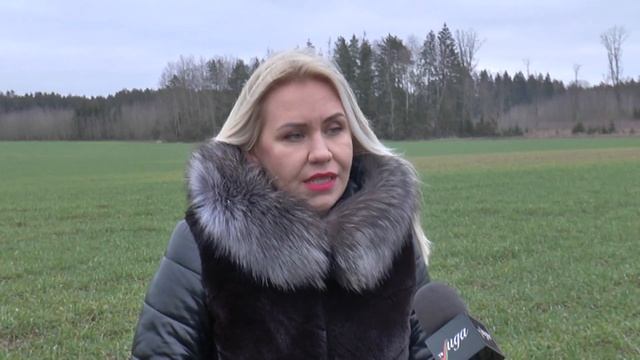 Мягкая зима заставляет аграриев пересматривать подходы к выращиванию озимых зерновых