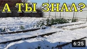 Что нужно сделать на даче в НОЯБРЕ? План огородных работ