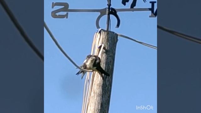 Уже взрослые, а всё ещё как дети!