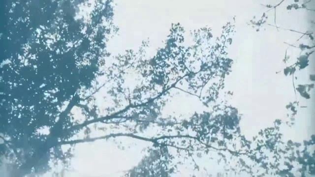 Павел Тихонов. Читает Владислав Витковский смотреть онлайн