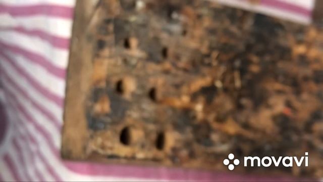 Кормак для рыбалки!!! Делаем легко и очень просто!!! смотреть онлайн