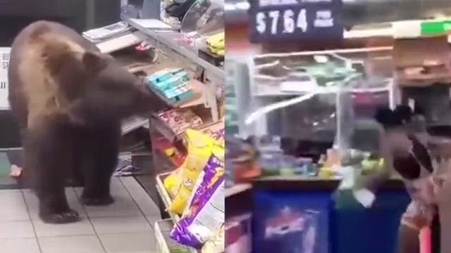 почувствуй разницу смотреть онлайн