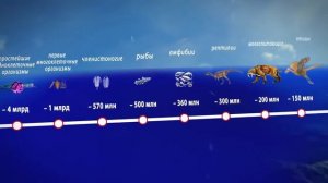 Эволюция  путь от бактерии до человека