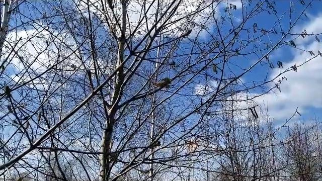 Страстная неделя/ Великая среда