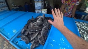 ШРИ-ЛАНКА 2023.ГДЕ ОБМЕНЯТЬ ДЕНЬГИ.ГОТОВИМ КРЕВЕТКИ. #шриланка #shrilanka