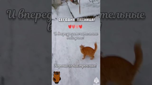 #Семёнычи