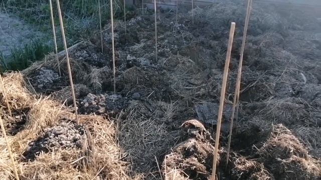 Посадила как Вы и Все ВЫКИНУЛА !!! // Разбираемся С Наездом Зрителя !!! // Май 2022 г // С.Х.У смотреть онлайн