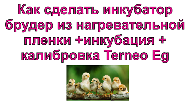 Как сделать инкубатор брудер своими руками из нагревательной пленки +инкубация +калибровка Terneo Eg