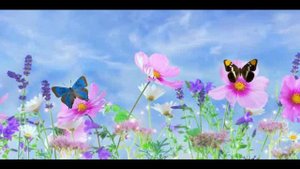 Встретимся с тобой