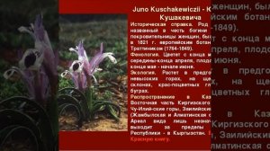 Растения занесёные в крассную книгу