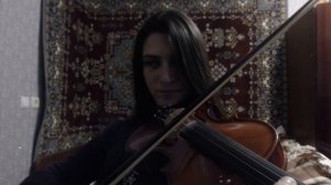 Ievan polka - violin cover