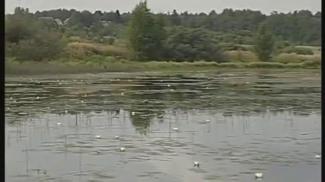 Пресные водоемы смотреть онлайн