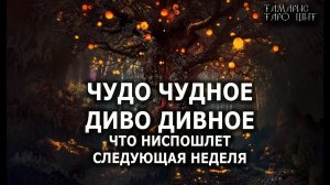 ЧУДО ЧУДНОЕ ДИВО ДИВНОЕ  гадание  расклад таро судьбы