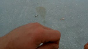 Зимняя рыбалка на Цимлянском Водохранилище.  2 февраля 2019. Часть 2