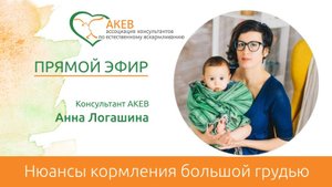 Нюансы кормления большой грудью. Анна Логашина