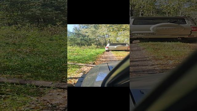 Видео Едем по лесу 2