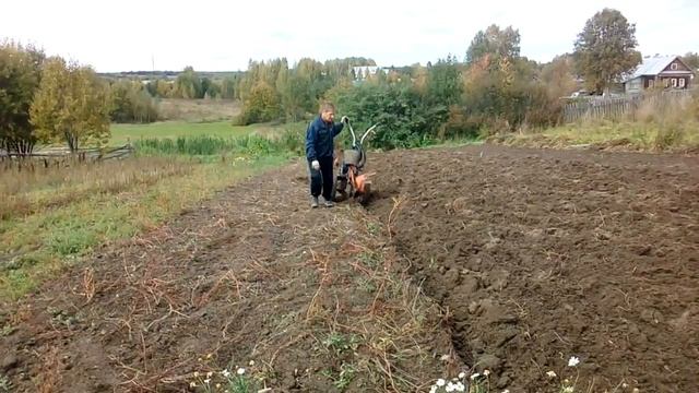 Пашем мотоблоком картофельник. Лена пробует пахать.Впечатления о пахоте.