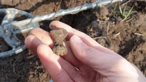 КОП В КАЛИНИНГРАДЕ | 3 минуты от города и ты на "хлебных" полях!