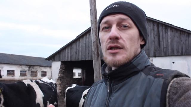 ВЫЛЕЧИЛИ КЕТОЗ В ЧАСТНОМ СЕКТОРЕ [ОТДАЛЕННОЕ ЛЕЧЕНИЕ]