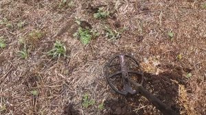 Коп по жесткой мусорке распаханной деревни с XP DEUS2