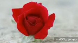 Картинки на тему любовь приятного просмотра