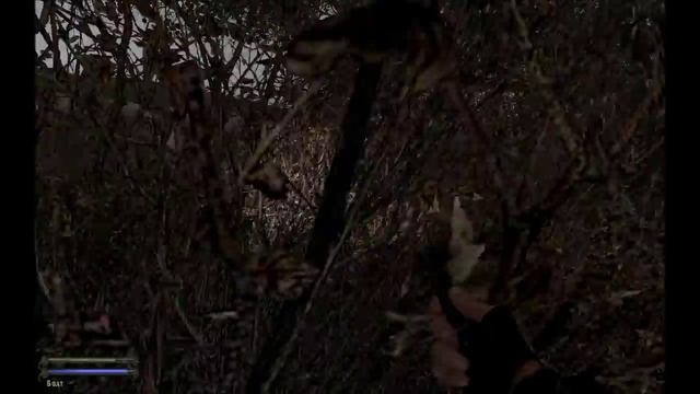 Lost World ToD. Мысли сталкера. 1 часть.