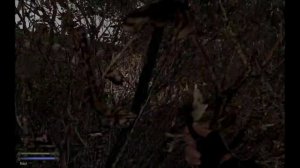 Lost World ToD. Мысли сталкера. 1 часть.