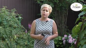 ПОЧЕМУ ПОМИДОРЫ ВНУТРИ ЖЕСТКИЕ И БЕЛЫЕ, И ЧТО С ЭТИМ ДЕЛАТЬ!