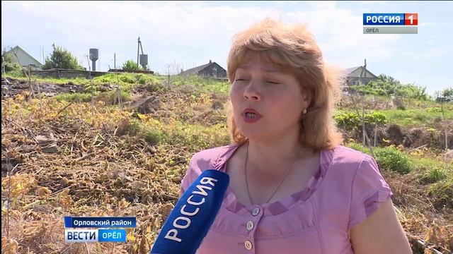 На Орловщине борщевик ведет наступление