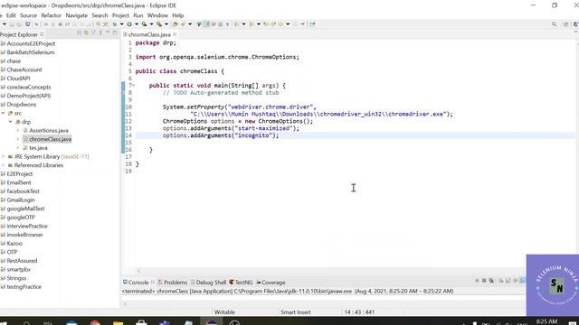 How to use ChromeOptions class in Selenium | What is the significance of ChromeOptions | SN