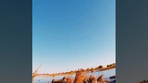 Как стрелять утку. Охота на утку