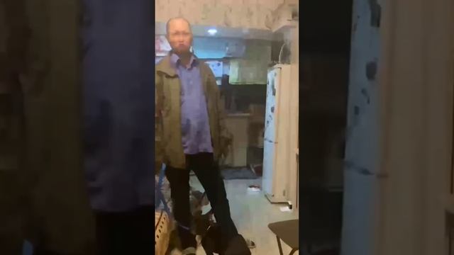 Агрессия Французского бульдога на хозяйку. Дрессировка собак. смотреть онлайн