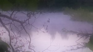 "За Туманами ". Авторская песня 
Слова, музыка, исполнение Валентины Рих.