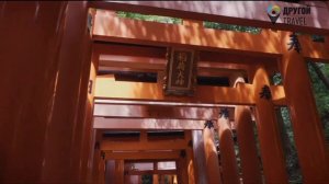 Япония. Авторские путешествия на диване