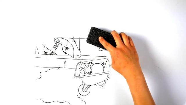 Draw My Life ? A Cow in Today's Dairy Industry