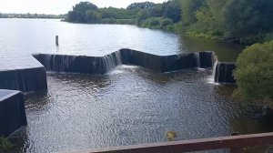 Звезда⭐ в реке